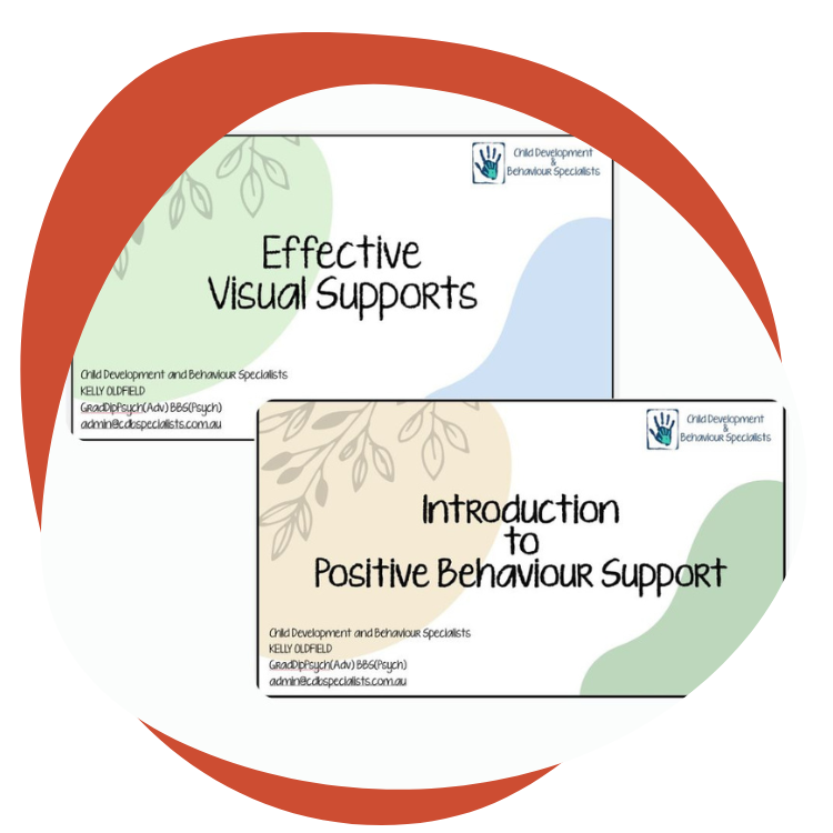 Effective Visual Supports and Introduction to Positive Behaviour Support: Child Development & Behaviour Specialists Workshops